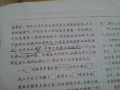 白洋文本的情感