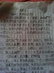 我同学的作文