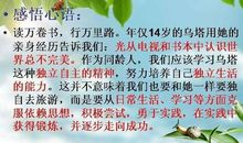 女孩子的花读后感