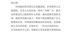 寡妇与母鸡读后感