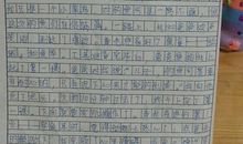 假期的收获作文