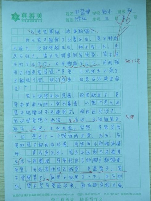 乌龟和野兔组成300字