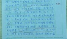 龟兔赛跑作文300字