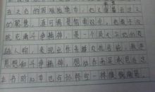 保护鸟类作文300字