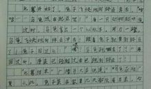龟兔赛跑作文400字