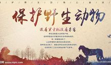 保护野生动物的作文