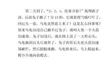 龟兔第二次赛跑作文