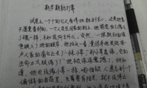 电视机前的一家人800字