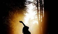 黑暗中的舞者观后感