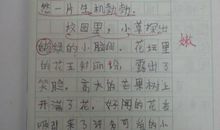 日记春天里的发现