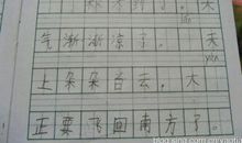 家乡的秋天300字作文