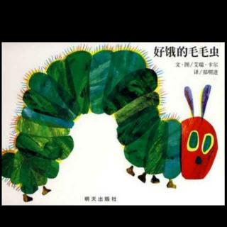 饿毛毛虫