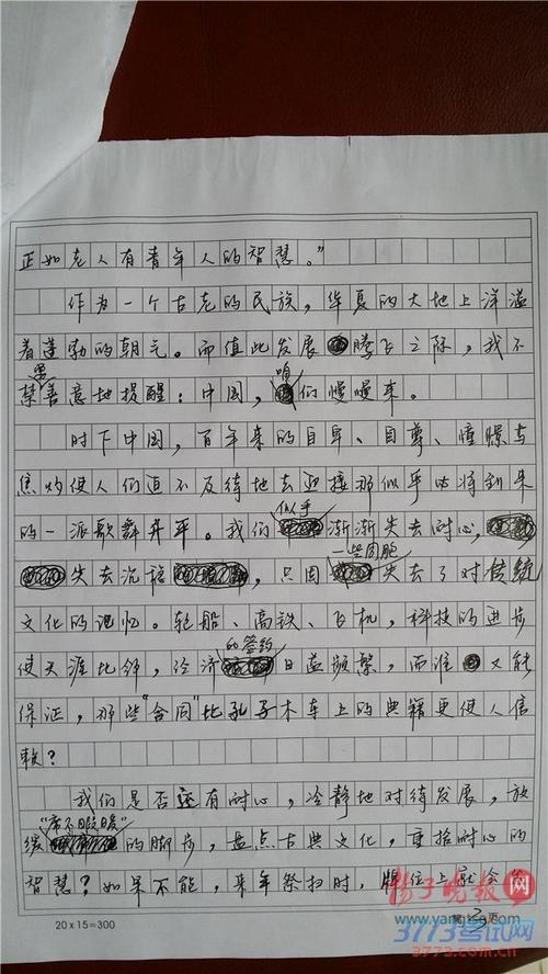 2015年高考满分科目浙江试卷：文字说明质量，给人留下深刻的印象