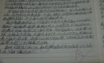 阅读法老后的500字