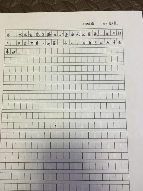 看完狼王的梦