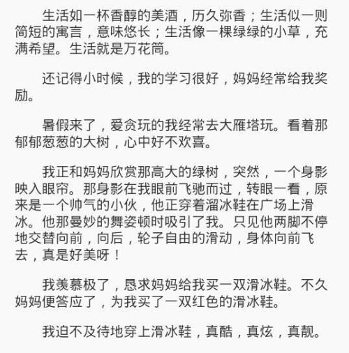 电脑室组成400字