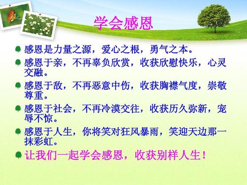 珍惜人生宣言