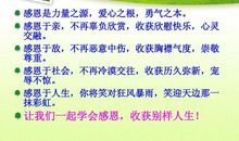 珍爱生命的语句