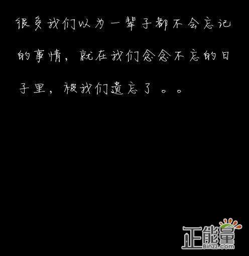 最少说八月经典报价