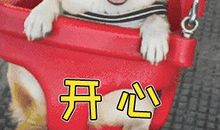 陈九霖经典语录