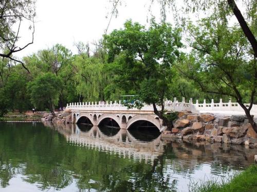 小桥的故乡组成