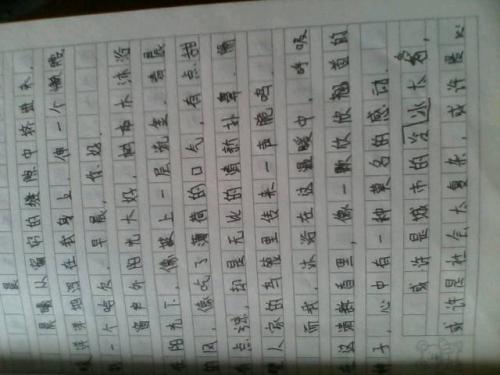 300字日记初中