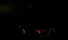 热闹的夜晚作文