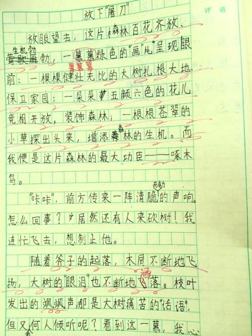 三年级的作文赞美我的同学