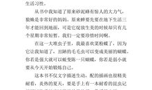 老王读后感200字