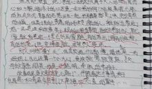 读书乐作文300字