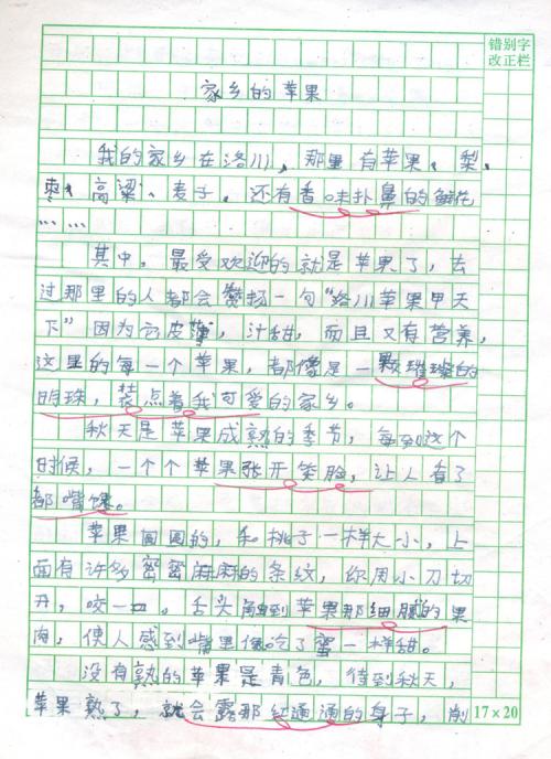 350个单词组成的家乡变化