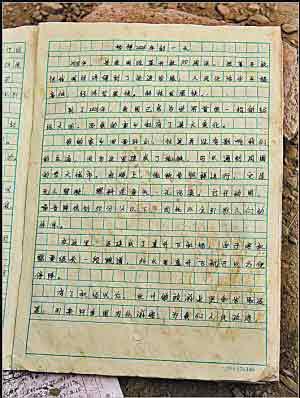 20年后的家乡组成