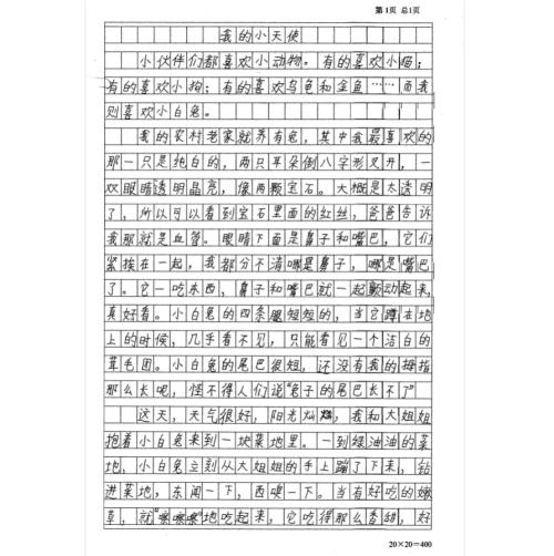 说明词组成300字