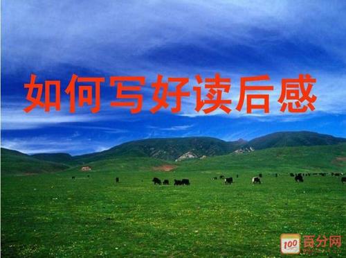 看完杰作之后