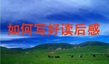 读一篇名著的读后感