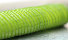 黄瓜王国读后感