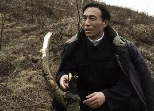 电影焦玉露