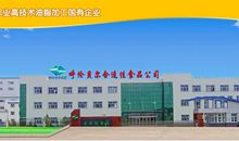 天地苍茫一根骨读后感