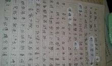 未来的家乡作文300字