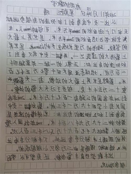 高中校园生活构成