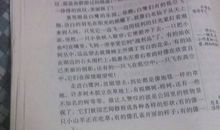 高中游记作文1000字