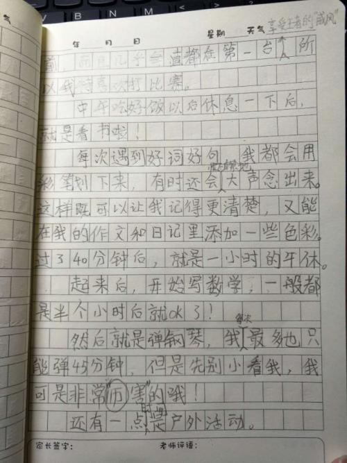 我的日记