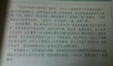 少年风采初三作文