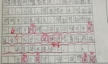 爬山虎作文300字