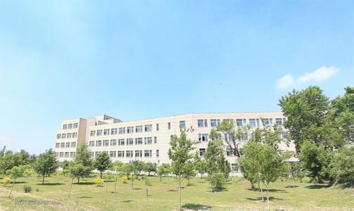 高校校园十大危机