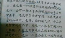 时间过得太快作文600字