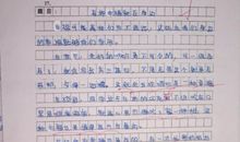 游泰山作文600字