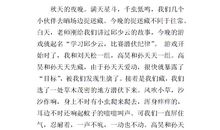 捉迷藏作文300字