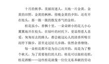 借花喻人的作文