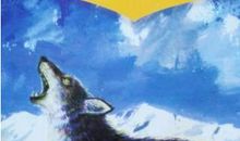 狼王梦读后感350字